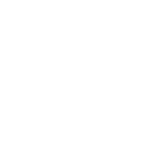 30 Regulating Valve with Manual Control